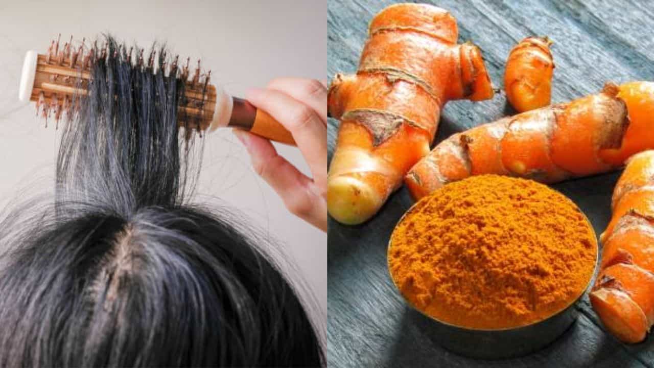 Turmeric for Grey Hair: রং করিয়েও পাকা চুল কালো হচ্ছে না? মাথায় কাঁচা হলুদ মাখা শুরু করুন আজ থেকেই Turmeric for Grey Hair: রং করিয়েও পাকা চুল কালো হচ্ছে না? মাথায় কাঁচা হলুদ মাখা শুরু করুন আজ থেকেই
