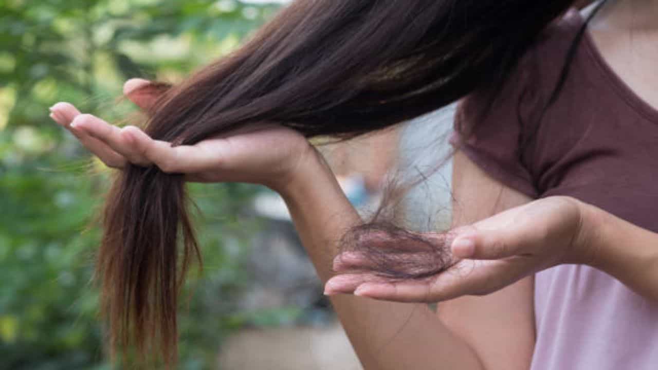 Monsoon Hair Fall: বর্ষায় কেন বাড়ে চুল পড়া? এই ৫ টোটকা মানলে বৃষ্টির দিনে পাবেন ঝলমলে চুল Monsoon Hair Fall: বর্ষায় কেন বাড়ে চুল পড়া? এই ৫ টোটকা মানলে বৃষ্টির দিনে পাবেন ঝলমলে চুল