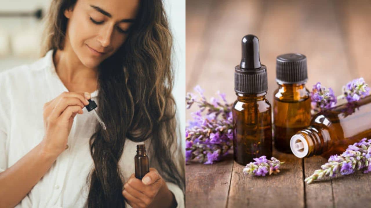 Monsoon Hair Care: চুল পড়া থেকে ফ্রিজিনেস—বর্ষায় এই তেল দুফোঁটা মাখলেই পালাবে চুলের সমস্যা