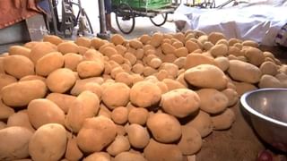 Potato traders strike: আলু নিয়ে স্বস্তির খবর, বুধবারই উঠতে পারে ব্যবসায়ী সমিতির কর্মবিরতি