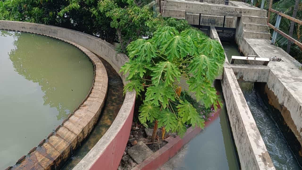 Rainwater harvesting: জলই জীবন, বছরে ৭৩০০০০০ লিটার বৃষ্টির জল পুনর্ব্যবহারযোগ্য করছে হাওড়া স্টেশন Rainwater harvesting: জলই জীবন, বছরে ৭৩০০০০০ লিটার বৃষ্টির জল পুনর্ব্যবহারযোগ্য করছে হাওড়া স্টেশন