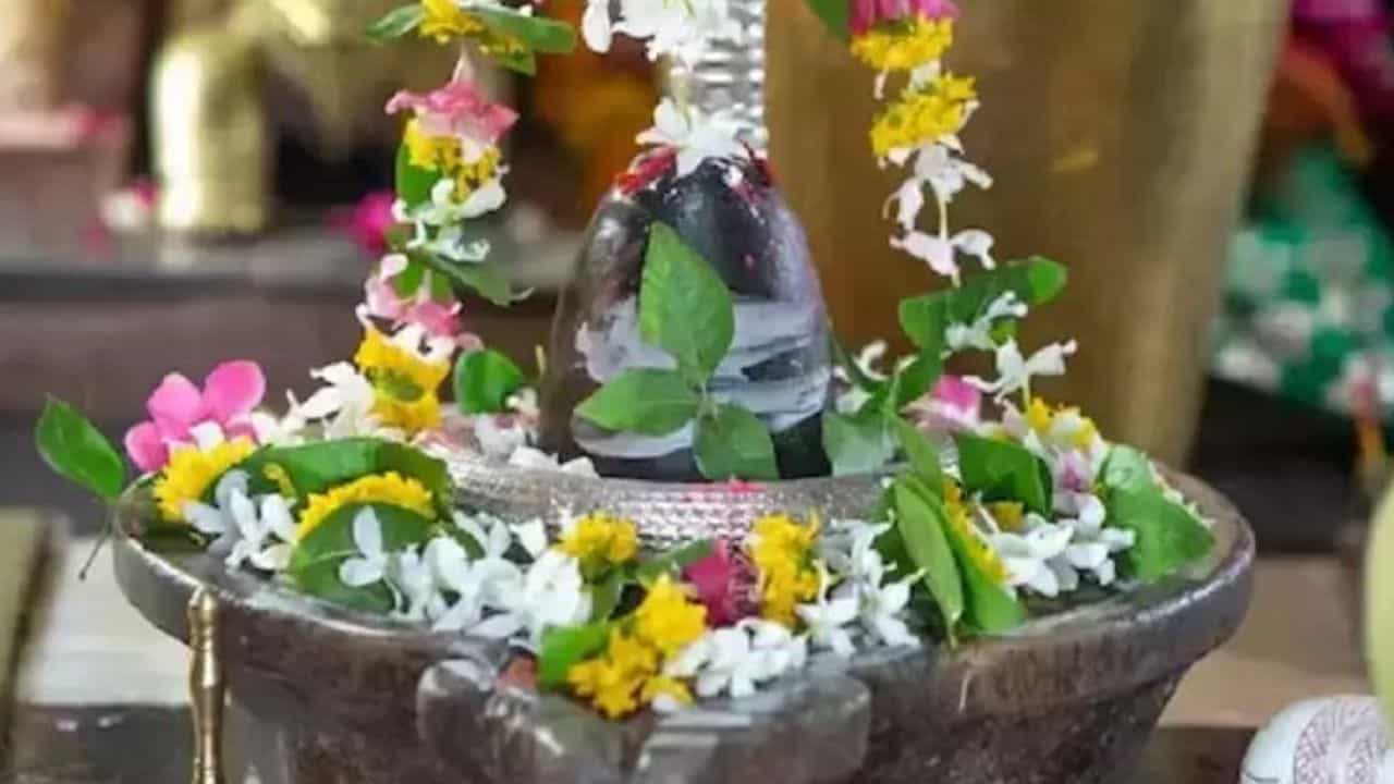 হিন্দুধর্ম মতে, প্রতিটি দেবদেবীর আরাধনায় নিবেদন করা হয় সেই দেবদেবীদের প্রিয় ফুল, ভোগ। বাংলা ক্যালেন্ডার মতে, বর্তমানে চলছে শ্রাবণ মাস। এই গোটা মাসই মহাদেবের অত্যন্ত প্রিয়। তাই এই সময় শিবের সমস্ত প্রিয় জিনিসগুলিকে নিবেদন করা হয়।
