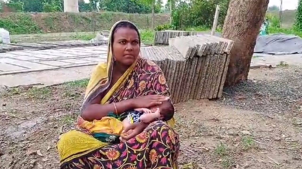 Katwa: জল জমে আছে তাই যাবেন না..., ছানা সহ মাকে গাছ তলায় নামিয়ে চলে গেল অ্যাম্বুলেন্স চালক