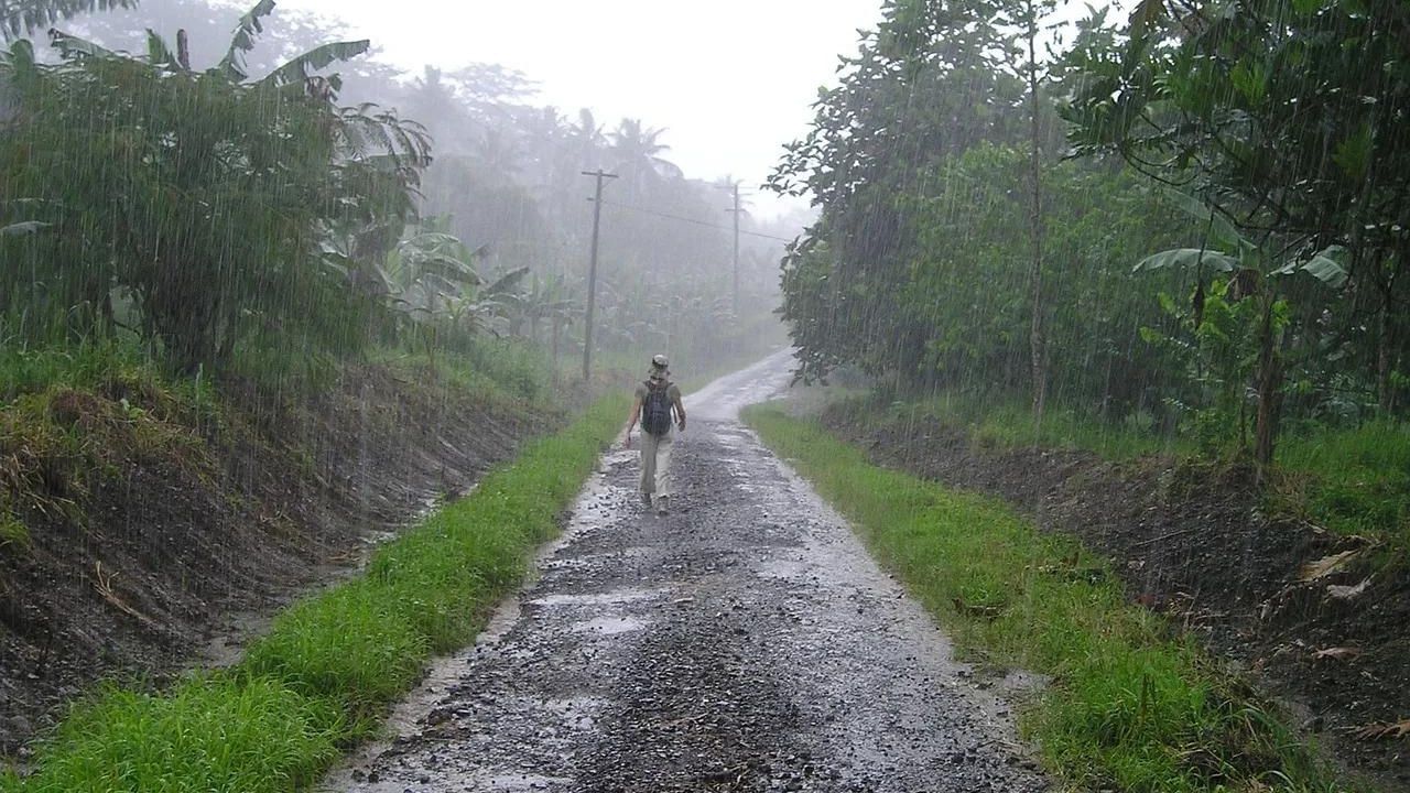 বর্ষাকালে বেড়াতে গেলে, জ্বর, সর্দি-কাশি, পেট ব্যথা, পেটখারাপের মতো সাধারণ ওষুধ নিতে ভুলবেন না। সঙ্গে আপনার যদি কোনও অসুখ থাকে তাহলে তার প্রয়োজনীয় ওষুধ নিতে ভুলবেন না।  