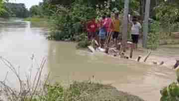 Bardhaman: দুর্বল সেতু ভেঙে জলের তলায়, অস্থায়ী সেতু বানালেন গ্রামবাসী