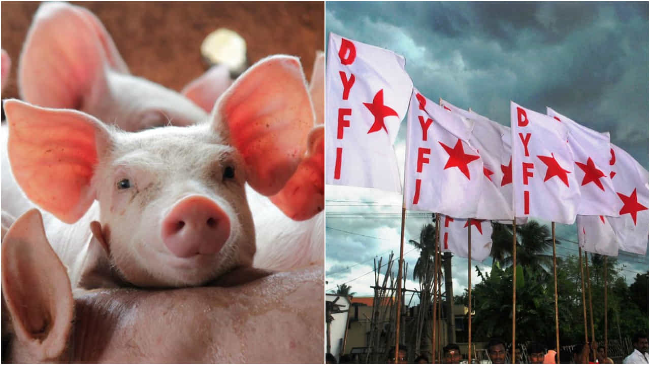 DYFI pork challenge: শূকরের মাংস নিয়ে চ্যালেঞ্জ সিপিএম-এর যুবদের, ক্ষিপ্ত সংখ্যালঘুরা! DYFI pork challenge: শূকরের মাংস নিয়ে চ্যালেঞ্জ সিপিএম-এর যুবদের, ক্ষিপ্ত সংখ্যালঘুরা!
