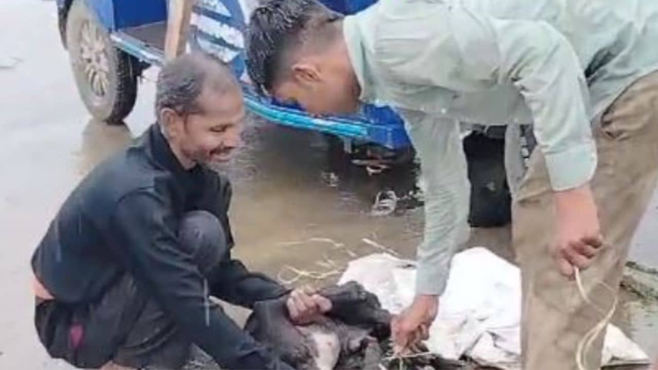 মুখে সেলোটেপ, দড়ি দিয়ে বাঁধা পা, নদীতে ফেলা হচ্ছিল একের পর এক কুকুর! কুুঁই কুঁই শব্দ শুনেই ওদের প্রাণ বাঁচিয়ে হিরো ৩ যুবক