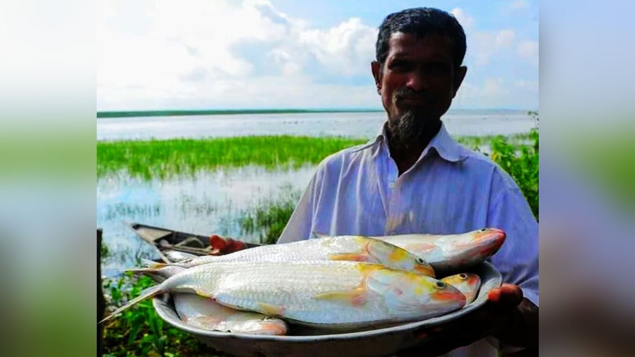 Bangladesh Hilsa: ভারতে বন্ধ পদ্মার ইলিশ! কড়া বার্তা নয়া বাংলাদেশি উপদেষ্টার Bangladesh Hilsa: ভারতে বন্ধ পদ্মার ইলিশ! কড়া বার্তা নয়া বাংলাদেশি উপদেষ্টার