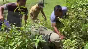 Jalpaiguri: জমি থেকে আসছিল অদ্ভুত শব্দ, কাছে যেতেই মাথায় হাত কৃষকদের