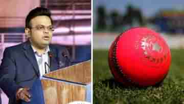 Pink Ball Test in India: ভারতে কেন গোলাপি টেস্ট নয়? বোর্ড সেক্রেটারি বলছেন, দোষ তো...