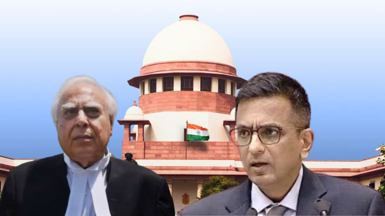 RG Kar Case: কেন বলা হল সুইসাইড? 'ক্রাইম সিন' রক্ষা করতে পারল না পুলিশ? প্রশ্নের পর প্রশ্নের মুখে কী বললেন সিবল RG Kar Case: কেন বলা হল সুইসাইড? 'ক্রাইম সিন' রক্ষা করতে পারল না পুলিশ? প্রশ্নের পর প্রশ্নের মুখে কী বললেন সিবল