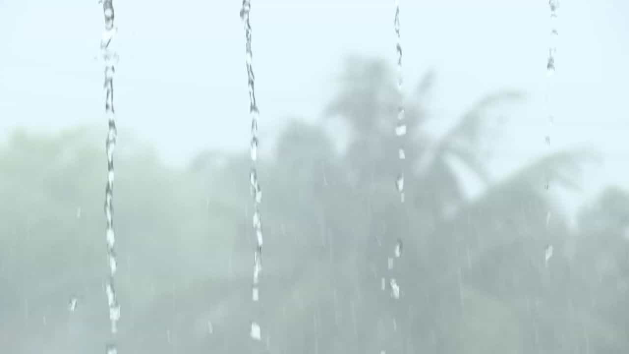 পূর্বাভাস ছিলই। শুক্রবার সন্ধ্যা থেকেই বৃষ্টির দমক আরও বাড়তে থাকে কলকাতা ও রাজ্যের অন্যান্য জেলায়। রাতভর প্রবল বৃষ্টি হয়েছে শহরজুড়ে। জলও জমেছে কোথাও কোথাও, তবে উত্তর কলকাতার চেনা ছবি উধাও!