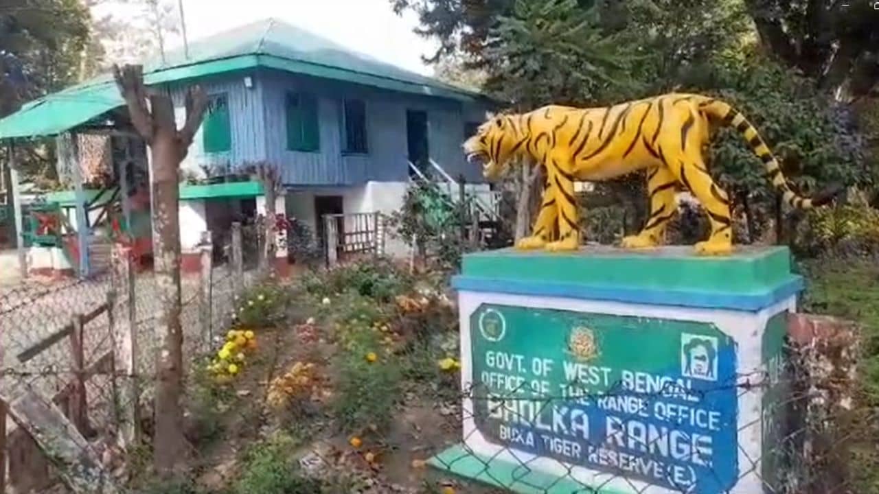 Alipurduar: গাড়ির ভিতরে থরে থরে সাজানো..., চোখ তো ছানাবড়া বনকর্মীদের