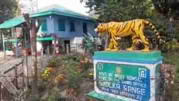 Alipurduar: গাড়ির ভিতরে থরে থরে সাজানো..., চোখ তো ছানাবড়া বনকর্মীদের