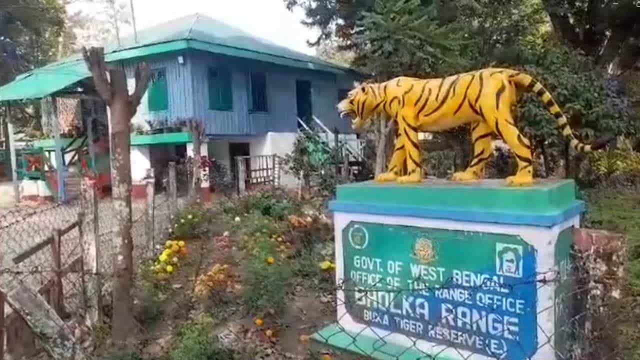 Alipurduar: গাড়ির ভিতরে থরে থরে সাজানো..., চোখ তো ছানাবড়া বনকর্মীদের Alipurduar: গাড়ির ভিতরে থরে থরে সাজানো..., চোখ তো ছানাবড়া বনকর্মীদের