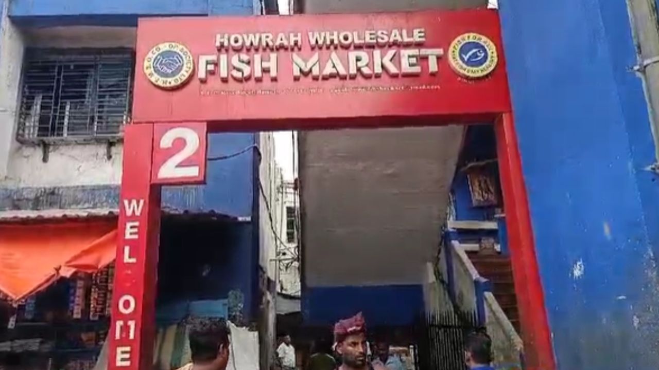 Bengal Fish Market: বাংলাদেশের ইলিশ তো ছেড়েই দিন, অথৈ জলে ভাসছে আরও অনেক মাছই