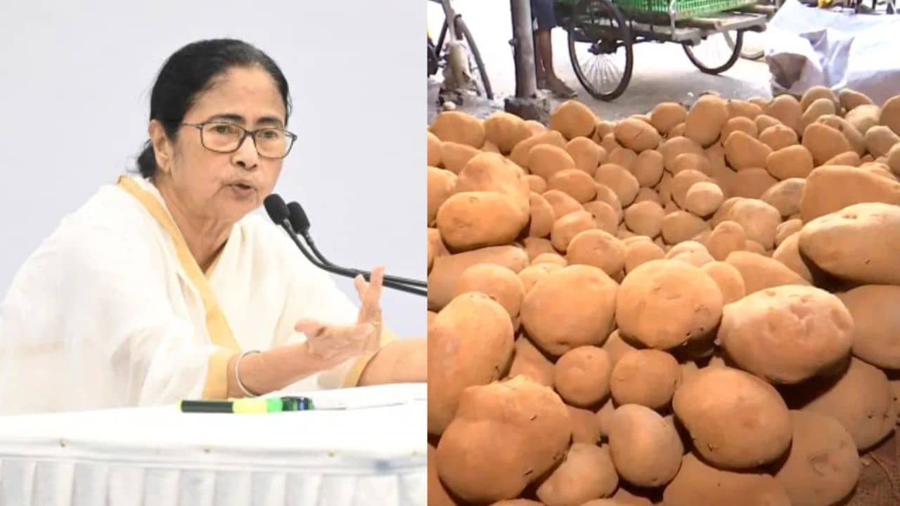 Mamata Banerjee on potato export: ভিনরাজ্যে আলু রফতানি নিয়ে বড় সিদ্ধান্ত মমতার, মিটবে সমস্যা?