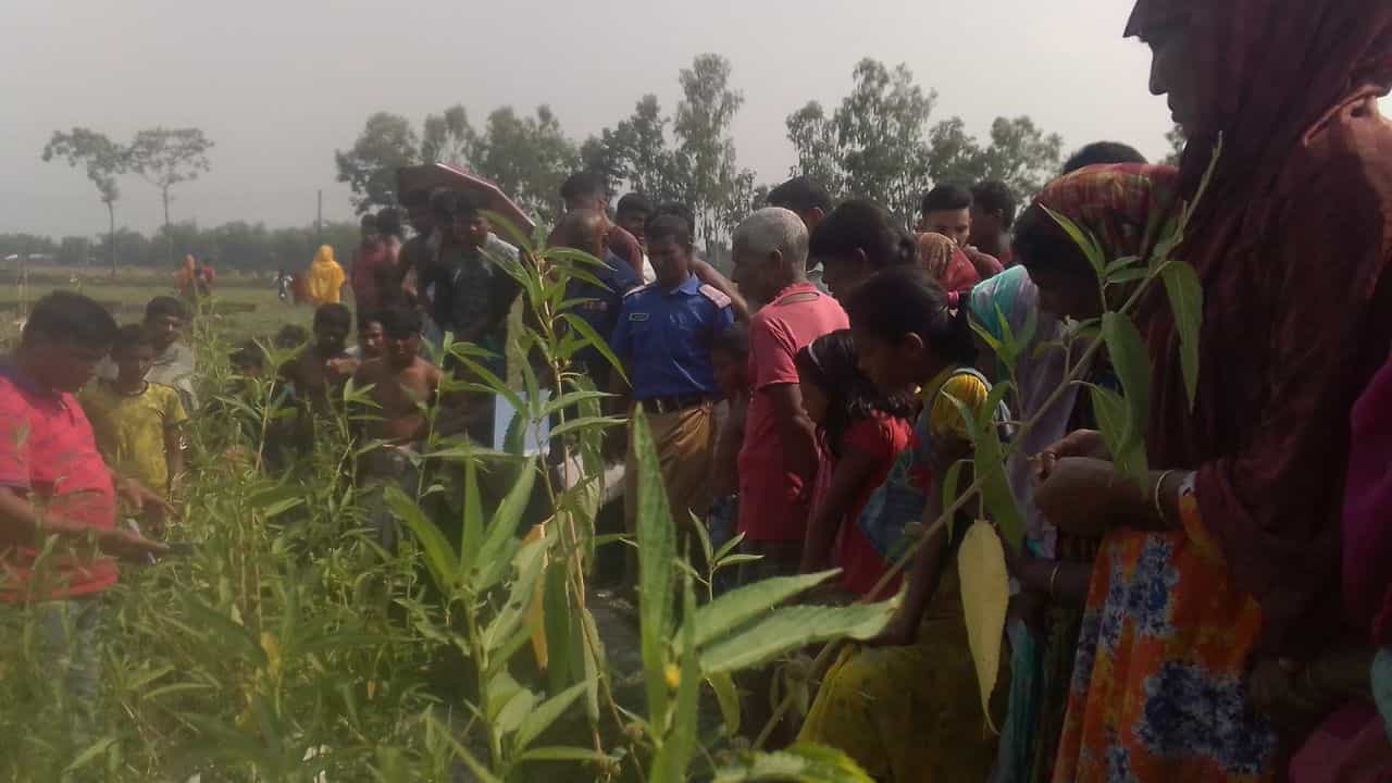 Murshidabad: পাট ক্ষেতের ভিতর থেকে অদ্ভুত একটা ঘোৎ ঘোৎ শব্দ আসছিল...কৃষকদেরই ওই অবস্থায় দেখে চোখ কপালে সীমান্তের বাসিন্দাদের Murshidabad: পাট ক্ষেতের ভিতর থেকে অদ্ভুত একটা ঘোৎ ঘোৎ শব্দ আসছিল...কৃষকদেরই ওই অবস্থায় দেখে চোখ কপালে সীমান্তের বাসিন্দাদের