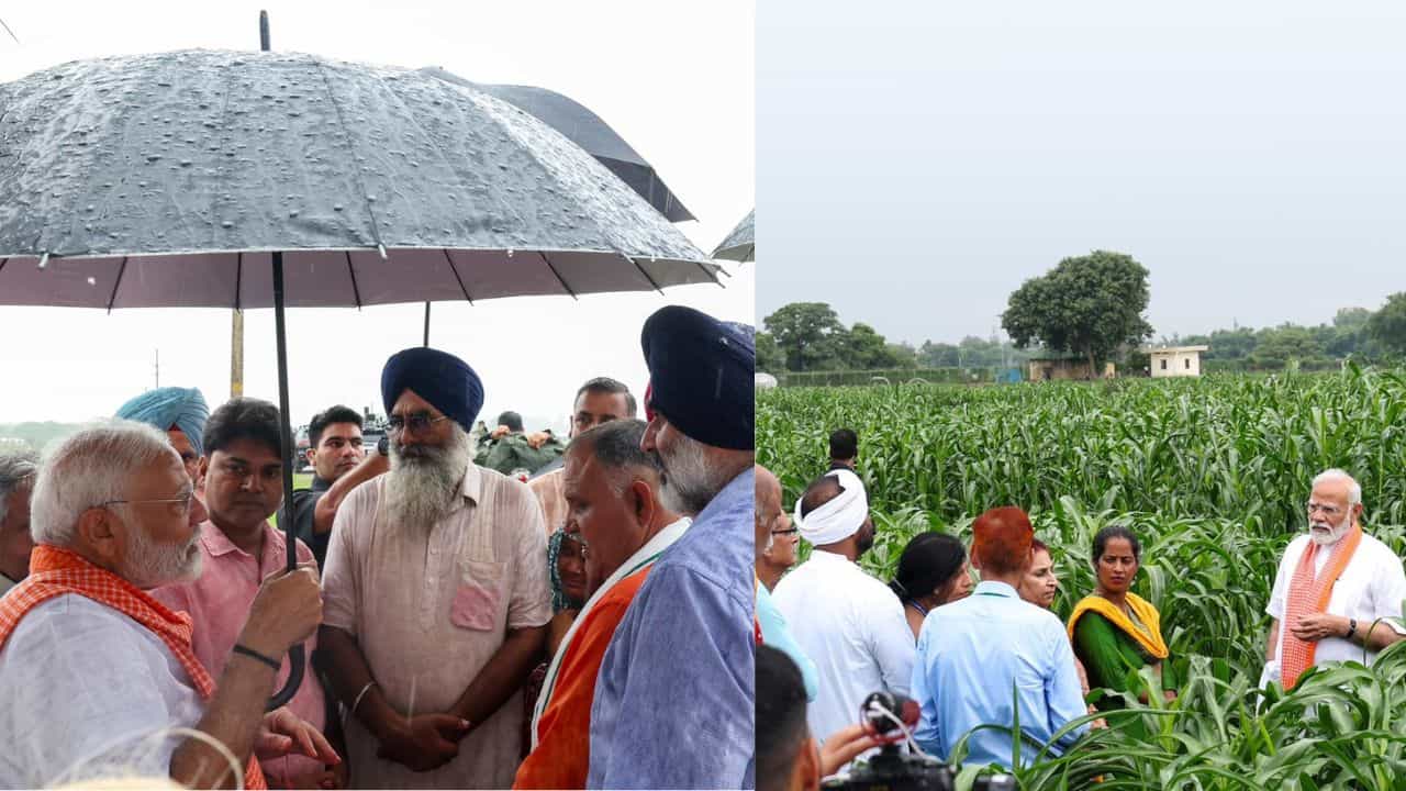 PM Narendra Modi: উচ্চ ফলনশীল, প্রধানমন্ত্রীর এই উদ্যোগে বাড়বে কৃষকদের আয় PM Narendra Modi: উচ্চ ফলনশীল, প্রধানমন্ত্রীর এই উদ্যোগে বাড়বে কৃষকদের আয়