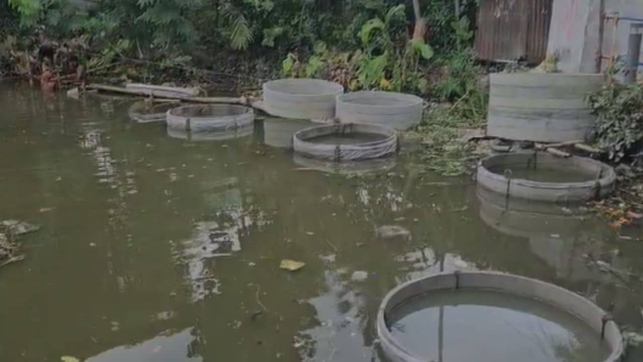 North Dumdum: দিনের আলোতেই উত্তর দমদমে পুকুর বুজিয়ে নির্মাণ তৈরি করছে দুষ্কৃতীরা!