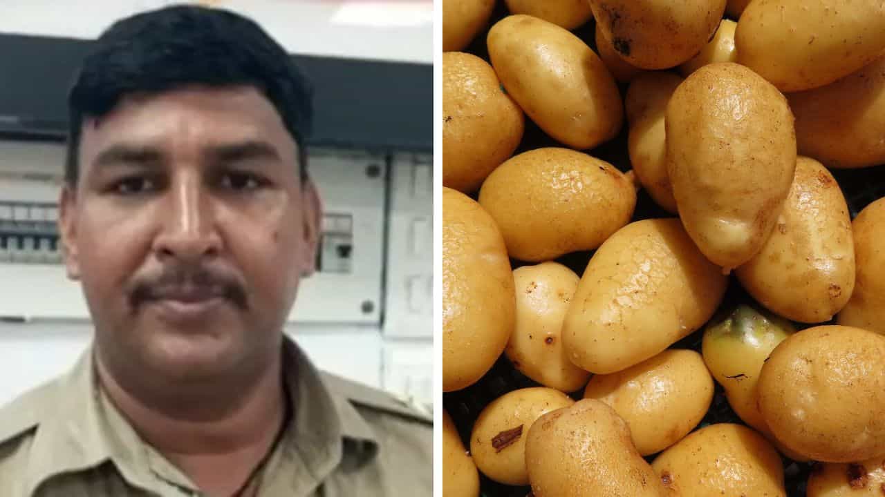 ৫ কেজি 'আলু' ৫ লাখ টাকা! তাও আবার 'বিক্রি' করছে পুলিশ... ৫ কেজি 'আলু' ৫ লাখ টাকা! তাও আবার 'বিক্রি' করছে পুলিশ...