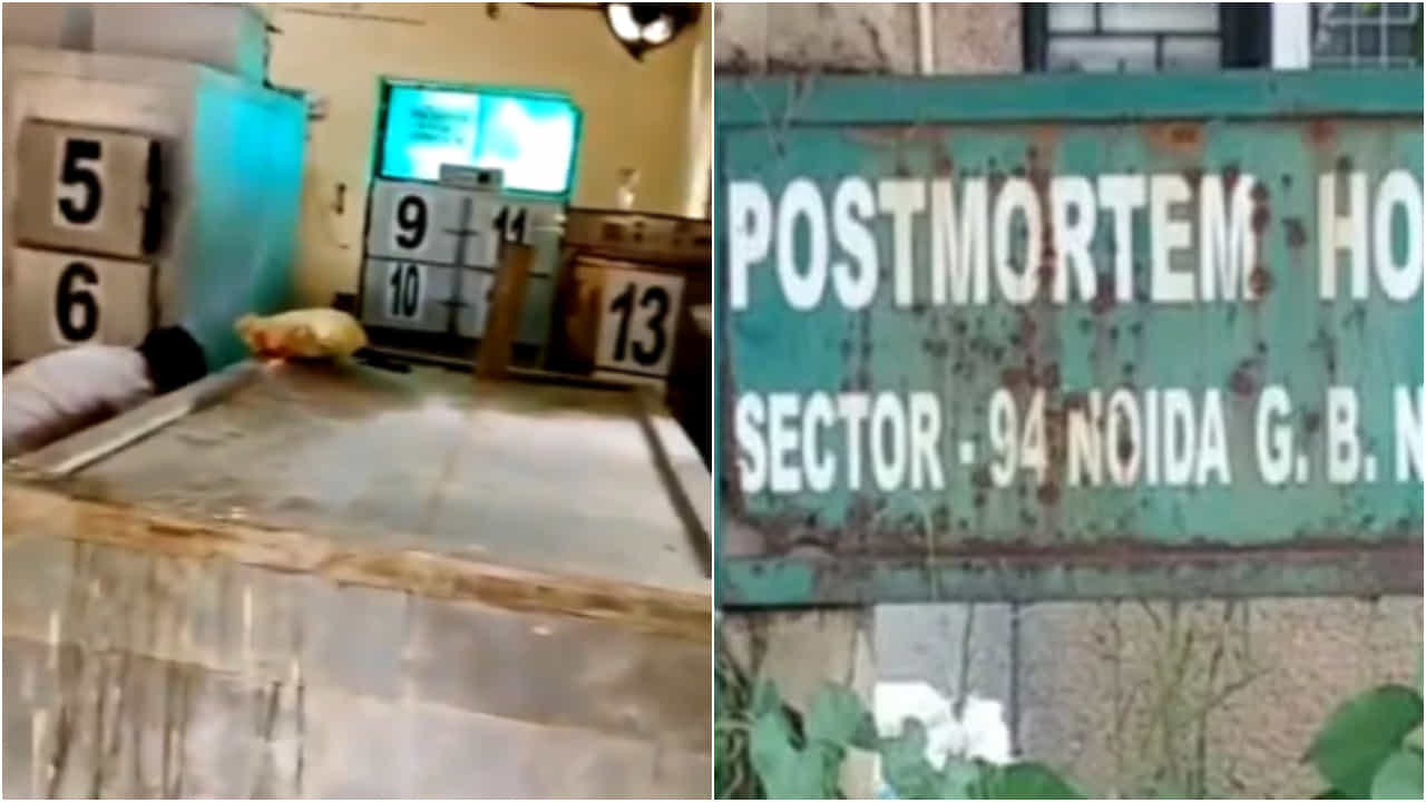 Noida post mortem house: ছিঃ! লাশকাটা ঘরে সাফাইকর্মীর চূড়ান্ত নোংরামী, ভাইরাল ভয়ঙ্কর ভিডিয়ো Noida post mortem house: ছিঃ! লাশকাটা ঘরে সাফাইকর্মীর চূড়ান্ত নোংরামী, ভাইরাল ভয়ঙ্কর ভিডিয়ো