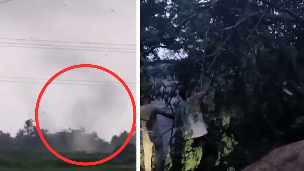 Tornado: বাংলায় বৃষ্টির দোসর এবার টর্নেডো! এক মিনিটে লন্ডভন্ড সব, উড়ল বাড়ির চাল, ভাঙল গাছ, এলাকায় ছুটল বিপর্যয় মোকাবিলা টিম Tornado: বাংলায় বৃষ্টির দোসর এবার টর্নেডো! এক মিনিটে লন্ডভন্ড সব, উড়ল বাড়ির চাল, ভাঙল গাছ, এলাকায় ছুটল বিপর্যয় মোকাবিলা টিম