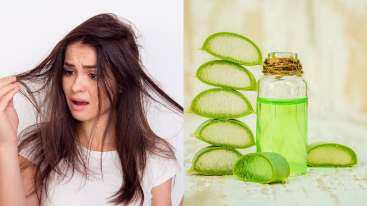 Homemade Hair Oil: বর্ষায় চুল পড়া বন্ধ হবে মাত্র ২ দিনে, এই বিশেষ উপাদান দিয়ে হেয়ার অয়েল বানিয়ে নিন