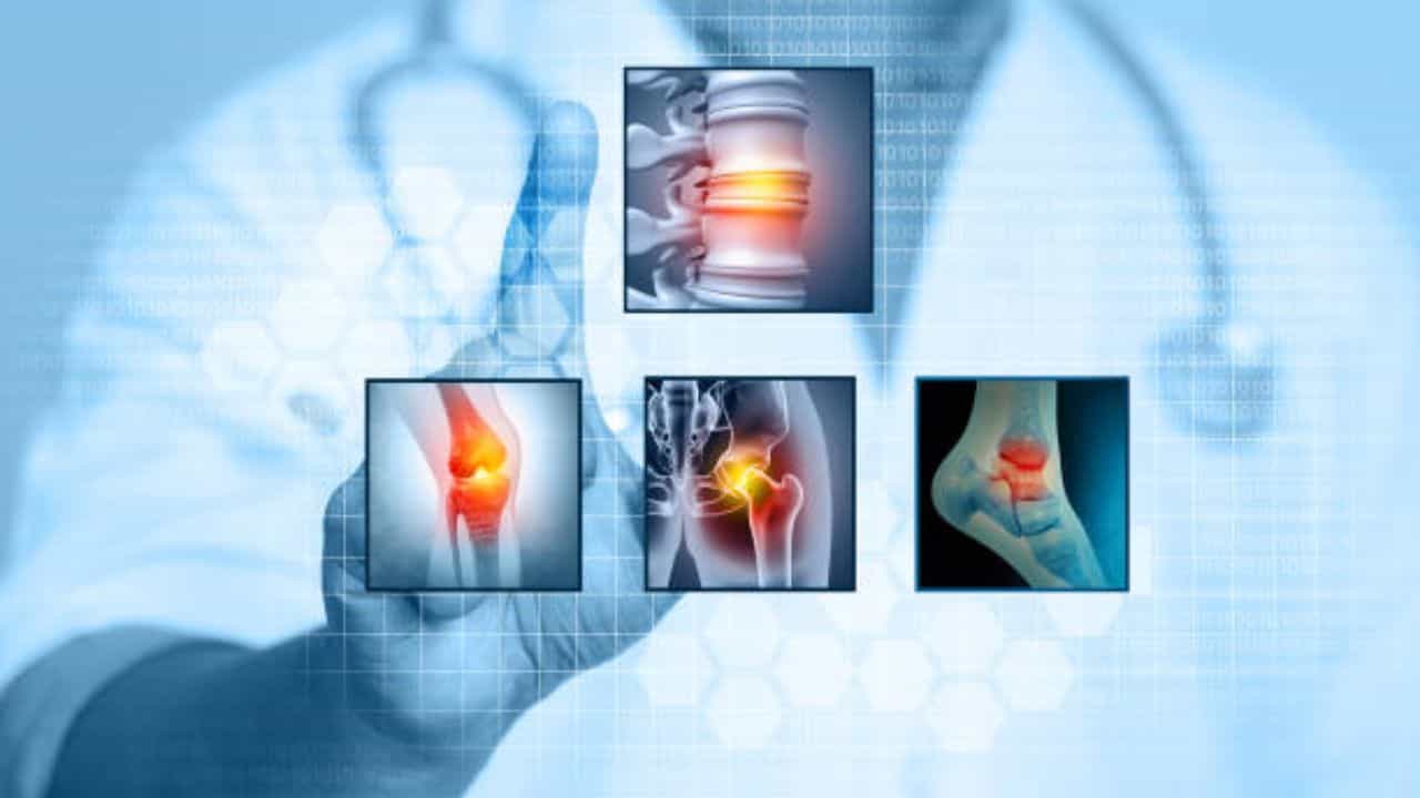 Bone Health: দুধ না খেলেও হাড় ভাল থাকবে, শুধু রোজ খেতে হবে এই ৫ ড্রাই ফ্রুটস Bone Health: দুধ না খেলেও হাড় ভাল থাকবে, শুধু রোজ খেতে হবে এই ৫ ড্রাই ফ্রুটস