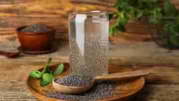 Chia Seeds: রোগা হতে দেদার খাচ্ছেন চিয়া সিড? কতটা ভাল, কী ভাবে খেলে মিলবে উপকার জানেন?