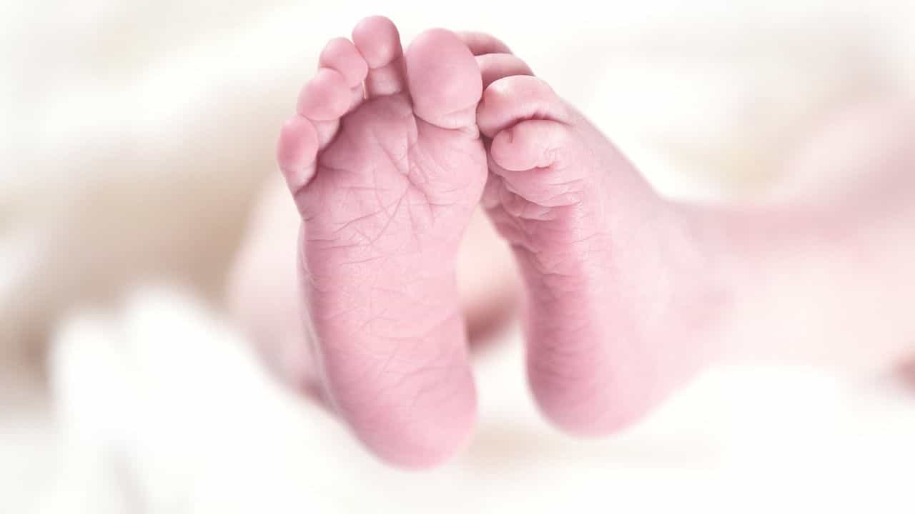 Child Death: ইচ্ছাকৃতভাবে ৭.৫ ঘণ্টা লোডশেডিং হাসপাতালে, মায়ের স্পর্শটুকুও পেল না নবজাতক, তার আগেই মর্মান্তিক পরিণতি Child Death: ইচ্ছাকৃতভাবে ৭.৫ ঘণ্টা লোডশেডিং হাসপাতালে, মায়ের স্পর্শটুকুও পেল না নবজাতক, তার আগেই মর্মান্তিক পরিণতি