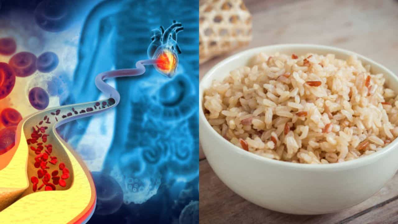 High Cholesterol: সাদা ভাত ছেড়ে এই ৫ দানাশস্য রোজ খান, শরীর থেকে গলে যাবে কোলেস্টেরল High Cholesterol: সাদা ভাত ছেড়ে এই ৫ দানাশস্য রোজ খান, শরীর থেকে গলে যাবে কোলেস্টেরল