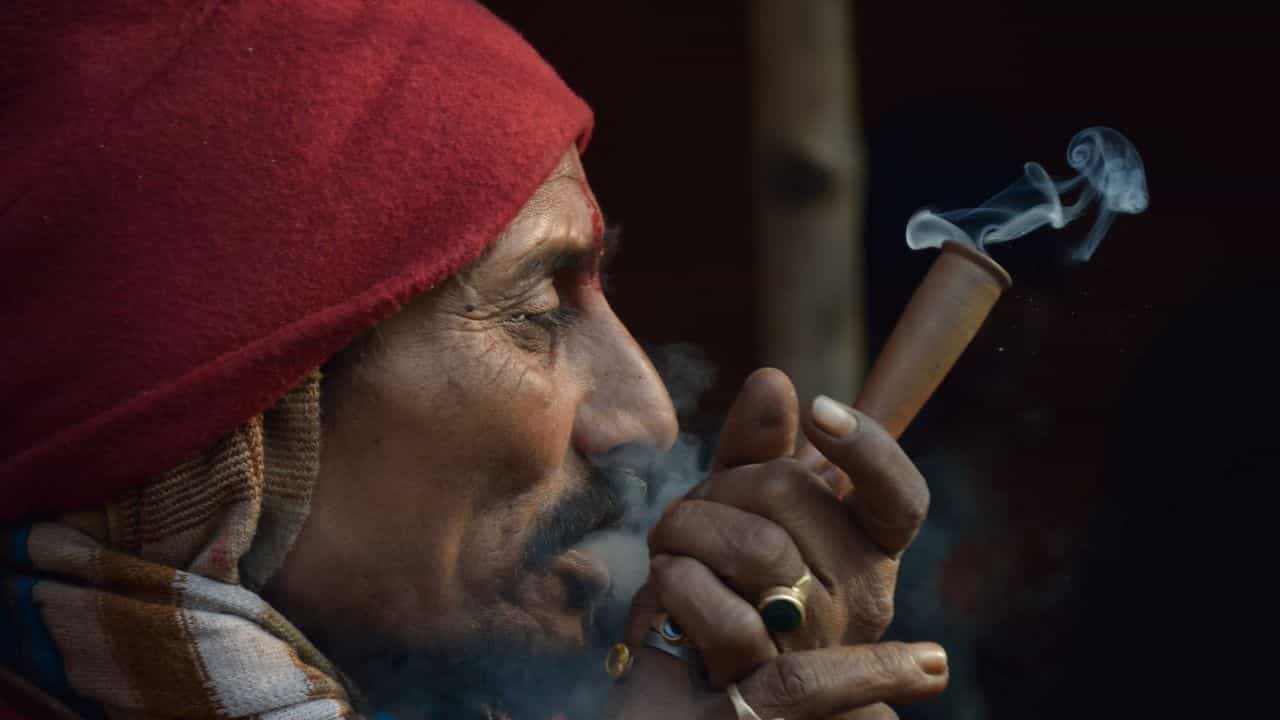 Cannabis: মনের সুখে গাঁজা খাচ্ছেন? বাবা হতে পারবেন না কিন্তু Cannabis: মনের সুখে গাঁজা খাচ্ছেন? বাবা হতে পারবেন না কিন্তু