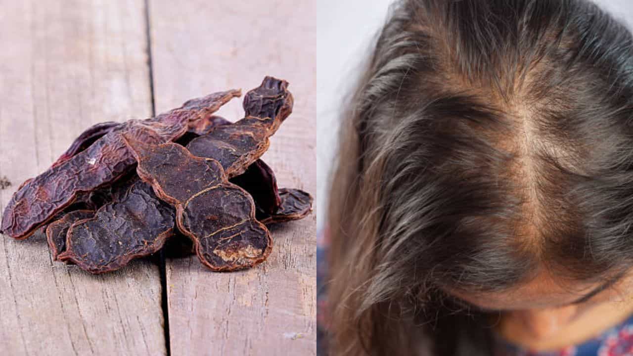 Shikakai for Healthy Hair: চুল উঠে টাক উঁকি মারছে? এভাবে শিকাকাই মাখলে আর শ্যাম্পুর দরকার নেই Shikakai for Healthy Hair: চুল উঠে টাক উঁকি মারছে? এভাবে শিকাকাই মাখলে আর শ্যাম্পুর দরকার নেই