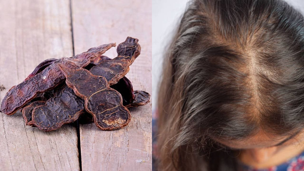 Shikakai for Healthy Hair: চুল উঠে টাক উঁকি মারছে? এভাবে শিকাকাই মাখলে আর শ্যাম্পুর দরকার নেই Shikakai for Healthy Hair: চুল উঠে টাক উঁকি মারছে? এভাবে শিকাকাই মাখলে আর শ্যাম্পুর দরকার নেই