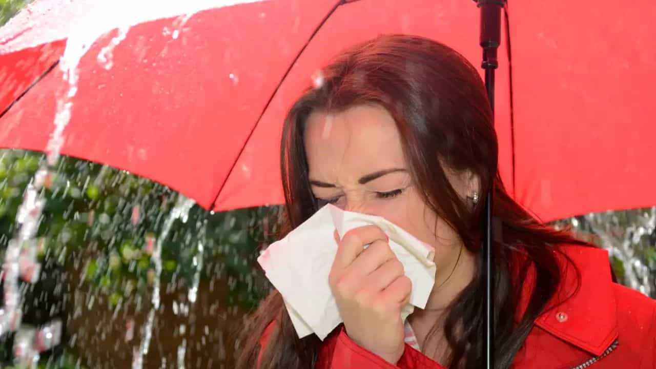 Monsoon Diseases: একটু অসচেতন হলেই বর্ষার এই ৬ রোগ আপনাকে বিছানায় ফেলতে পারে Monsoon Diseases: একটু অসচেতন হলেই বর্ষার এই ৬ রোগ আপনাকে বিছানায় ফেলতে পারে
