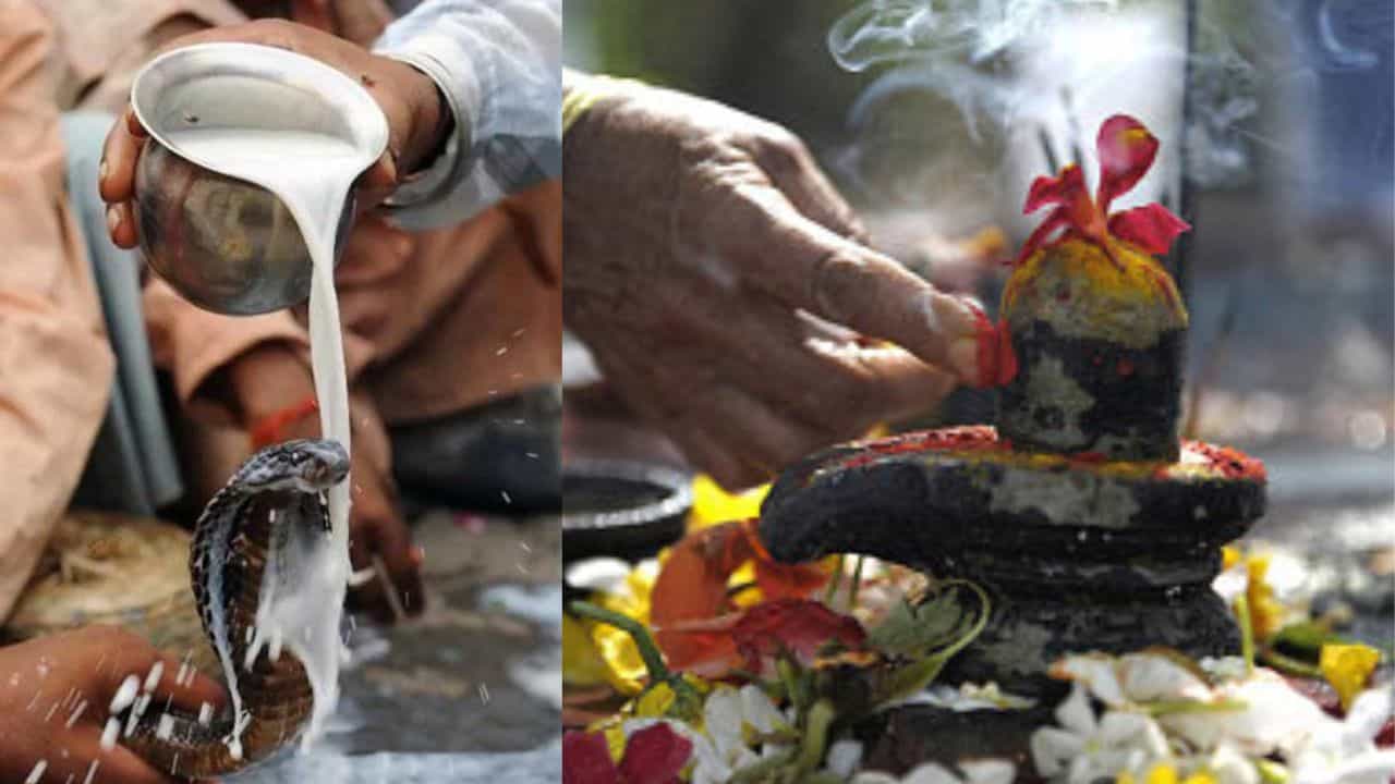 Nag Panchami 2024: শ্রাবণ মাসে সাপকে কি দুধ নিবেদন করা উচিত? নাগপঞ্চমীতে এই ৩ কাজ করলেই তুষ্ট হবেন শিবঠাকুর Nag Panchami 2024: শ্রাবণ মাসে সাপকে কি দুধ নিবেদন করা উচিত? নাগপঞ্চমীতে এই ৩ কাজ করলেই তুষ্ট হবেন শিবঠাকুর