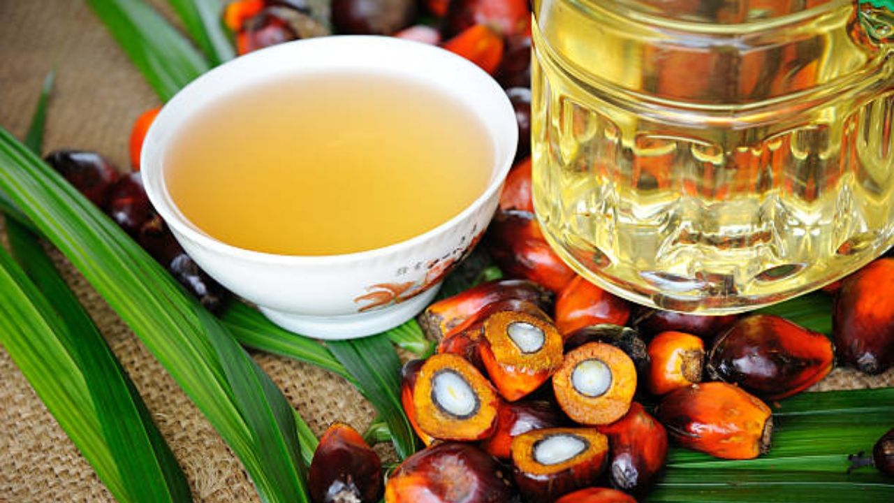 পাম অয়েলের মধ্যে স্যাচুরেটেড ফ্যাট রয়েছে। এই তেলে তৈরি রান্না খেলে কোলেস্টেরল বাড়তে বাধ্য। আর কোলেস্টেরলের মাত্রা বাড়লে এখন থেকে হৃদরোগের ঝুঁকিও বৃদ্ধি পায়। স্ট্রোক বা হার্ট অ্যাটাকও হতে পারে।
