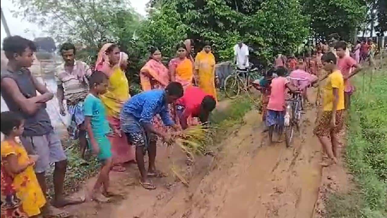Protest: ওই রাস্তায় আর কী হবে? ধানই পুঁতে দিলেন এলাকার লোকেরা Protest: ওই রাস্তায় আর কী হবে? ধানই পুঁতে দিলেন এলাকার লোকেরা