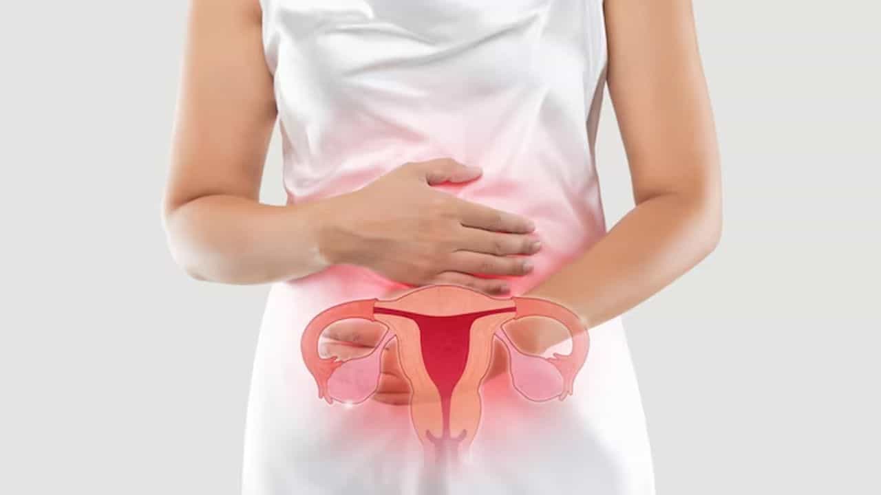 PCOS Symptoms: ৫ লক্ষণ দেখলে সতর্ক হন এখনই! হতে পারে পিসিওএস-এ আক্রান্ত আপনিও PCOS Symptoms: ৫ লক্ষণ দেখলে সতর্ক হন এখনই! হতে পারে পিসিওএস-এ আক্রান্ত আপনিও
