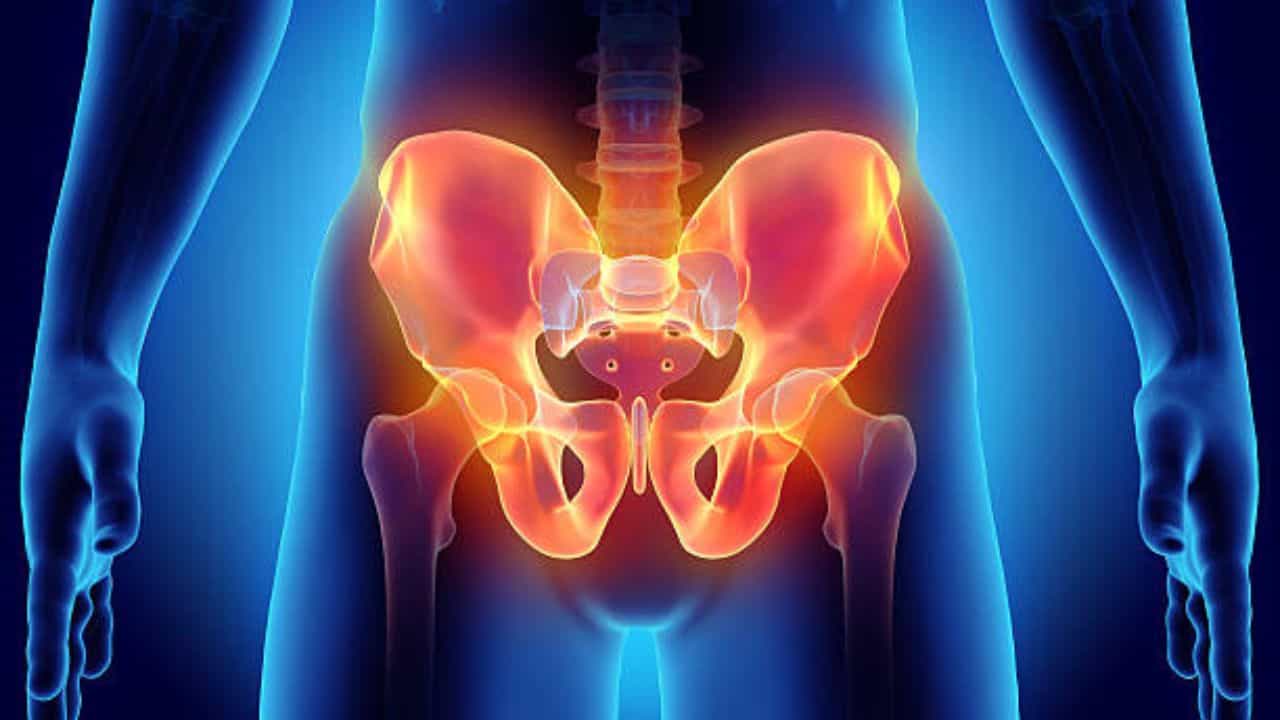 Pelvis Bone: ঠিক কতটা চাপ পড়লে ভাঙতে পারে 'পেলভিস হাড়'? জানালেন চিকিৎসক Pelvis Bone: ঠিক কতটা চাপ পড়লে ভাঙতে পারে 'পেলভিস হাড়'? জানালেন চিকিৎসক