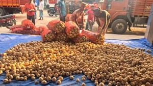 Potato: রবিবার থেকেই কি আলু অমিল হবে বাজারে? আজ রাত থেকে আবারও ‘ধর্মঘট’