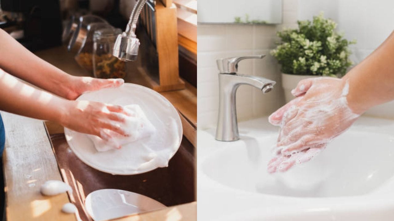 Reetha: বাসন থেকে হাত সব পরিষ্কার হবে এই ফল দিয়ে, দরকার নেই আর রাসায়নিকে ভরা সাবানের Reetha: বাসন থেকে হাত সব পরিষ্কার হবে এই ফল দিয়ে, দরকার নেই আর রাসায়নিকে ভরা সাবানের