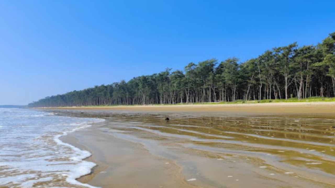 পুরী ওভাররেটেড। ওড়িশার বাগদা কিংবা ডুবলাগড়ি যেতে পারেন। বালাসোর স্টেশন থেকে খুব কাছেই অবস্থিত এই সমুদ্র সৈকত। চাইলে কলকাতা থেকেও গাড়ি নিয়ে যেতে পারেন ডুবলাগড়ি। সমুদ্রের কাছাকাছি মাটির তৈরি রিসর্ট‌ থাকার সুযোগ রয়েছে এখানে।