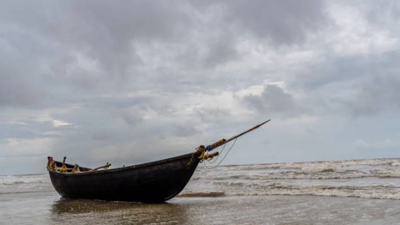 মন্দারমণি থেকে কিছুটা দূরেই রয়েছে দক্ষিণ পুরুষোত্তমপুর। এই সমুদ্র সৈকতে মন্দারমণির থেকেও পর্যটকদের সংখ্যা কম। এখানেও আপনি প্রচুর লাল কাঁকড়া দেখতে পাবেন। পড়ন্ত বিকেলে সূর্যাস্ত দেখতে যেতে পারেন দক্ষিণ পুরুষোত্তমপুর।