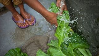 Monsoon Hair Care: বর্ষায় চুল পড়ার সমস্যায় জেরবার? এই ৬ নিয়ম মানলেই হবে সমাধান