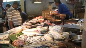 Kolkata Fish Market: কলকাতার সেরার সেরা মাছ বাজার কোনগুলি জানেন?