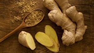 Ginger Bad Effects: শরীরে এইসব সমস্যা থাকলে কিন্তু আদা বিষ!