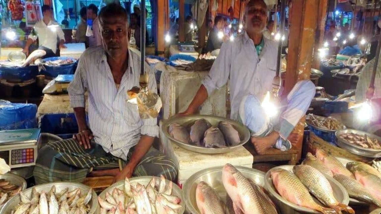 রুই,কাতলা, ইলিশ, চিংড়ি, ভেটকি, চিতল, পাবদা, মৌরলা আরও কত কি! তবে এক ছাদের তলায় সব ভাল একসঙ্গে পাওয়াটা একটু কঠিন। তবু উত্তর থেকে দক্ষিণ এমন কয়েকটা বাজার আছে যেখানে গেলেই পৌঁছে যাবেন মাছের স্বর্গরাজ্যে। জানেন শহরের সেরার সেরা মাছ কোথায় পাওয়া যায়? 