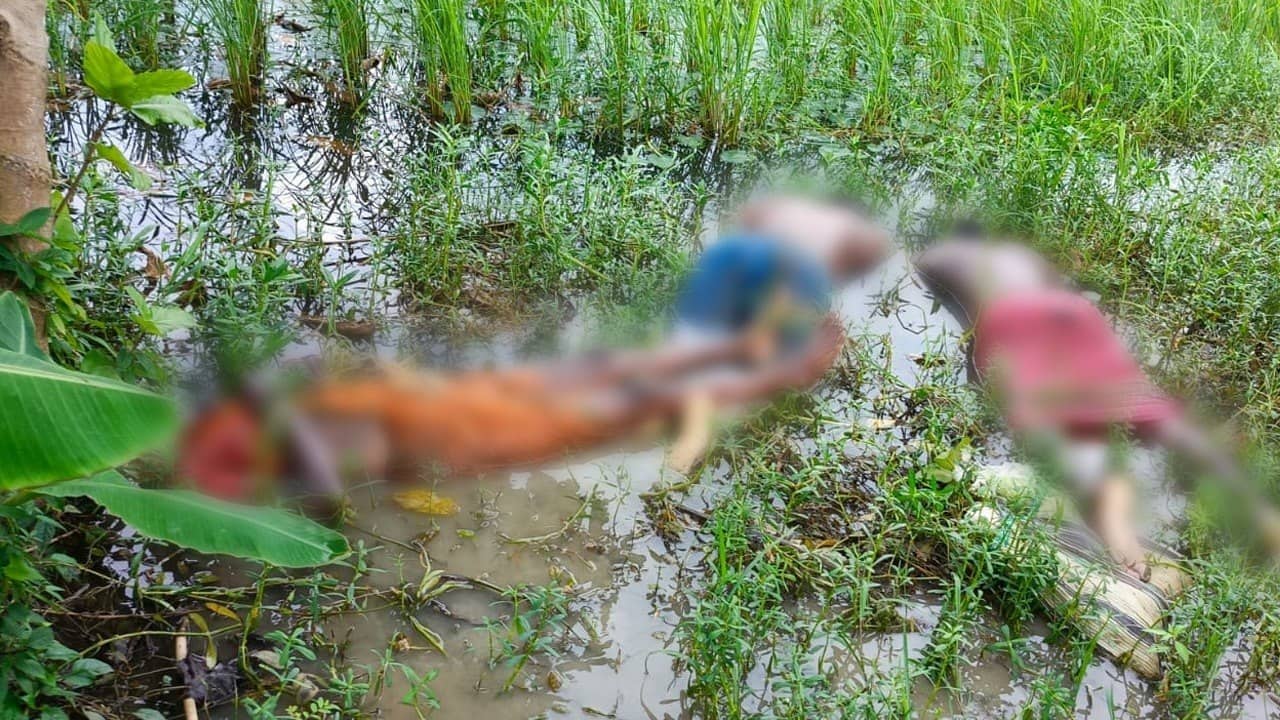 South 24 Pargana: সোমবার সকাল থেকে নিখোঁজ, ২৪ ঘণ্টার মাথায় মা-বাবার সঙ্গেই ধান জমিতে ভেসে উঠল ছেলের দেহ